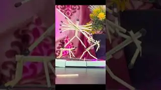 এটা কেমন? 😍 । আজ একটু অন্য রকম video 🥹 #durgapuja #durgapuja2025