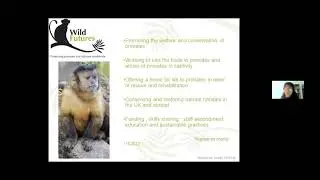 Primate Pet Trade Webinar 30th April 2021 - Interview with Rachel Hevesi, Director of Wild Futures