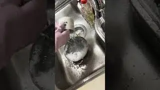 아침 설거지