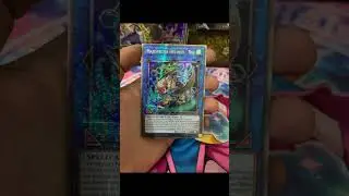 Majespecter Orthrus - Nue (1st Edition)  #yugiohanime #yugioh #yugiohcommunity #yugiohtcg