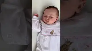 Mini-la-Mode / Classic Babywear