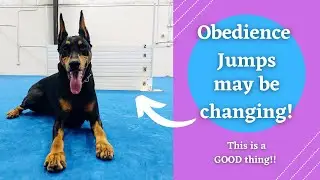 AKC Obedience Jumps are Changing // Why is this CONTROVERSIAL??
