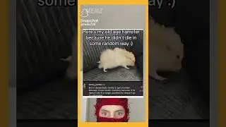 Old Hamster💀