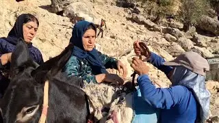 Unbelievable Adventure of Nomadic Women and Girls to Reach Drinking Water in Remote Mountains