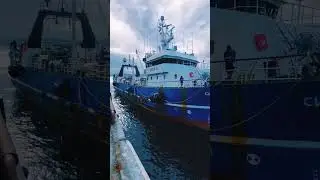 Sea Hunter могу узнать по звуку гула двигателя! Морпорт. Магадан.