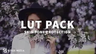 2019 Lut Pack With Skin Tone Protection Examples