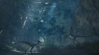 MH Rise Sunbreak - Jungle Map Intro