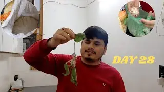 DAY 28 गाँव से कौन आया और क्या क्या सामान लाए🤔 ||Sangi Rawat ||SR028