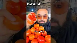 All the time retail #beach #tomata #duet #tomato #musicgenre