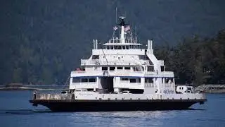 Mayne Queen