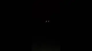Warhawk Firework Rockets