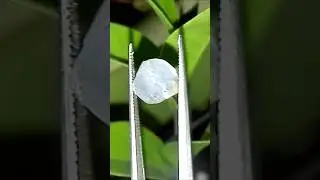 Geuda Gemstone 💎 | Rough Gemstone @pabasaramihiran5452 #gemstone #gems #amezingvideo
