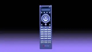 How to use the Polycom HDX Remote Control