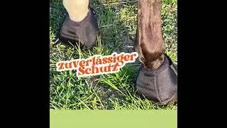 Hufglocken Video 1080 &times; 1080 px