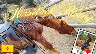 Let's Ride a Horse! [Red River, New Mexico]