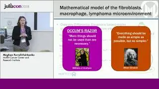Unraveling lymphoma tumor microenvironment interactions with Julia | Fairbanks