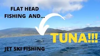 JET SKI FISHING | Bicheno Tasmania | TUNA and FLAT HEAD