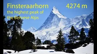 Finsteraarhorn ascent with skis Bernese Alps Switzerland