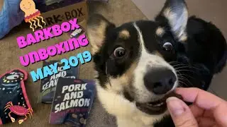 BarkBox Unboxing May 2019 (Deep Ocean Themed)