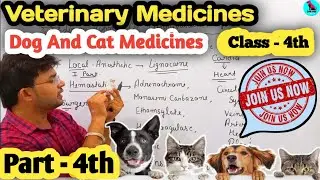 Dog Medicines || Veterinary Medications || Class - 4 || Part - 4 || All Veterinary Medicines Salts