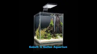 Cobalt Microvue 5 Gallon Nano Build Part (1) Design