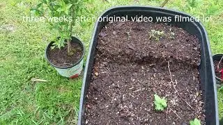 Garden Ep1
