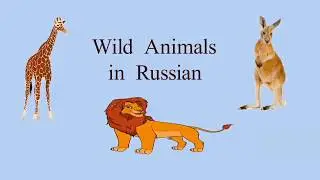 Russian vocabulary. Wild animals in Russian.