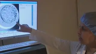 IVF treatment assisted by AI