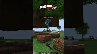 Minecraft Trolling :D