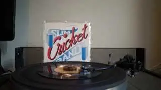 Slim Cricket Band - Pimpel Head