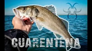 LUBINAS después de la CUARENTENA | SFK Vlog 69
