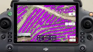 Fruit Tree Mapping