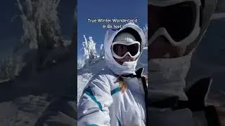 Heavenly Mountain Ski Resort, Lake Tahoe. Ski in California and Nevada. Winter wonderland.