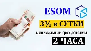 ESOM  ОБЗОР ПРОЕКТА