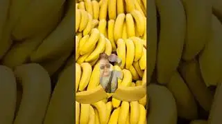 Satisfying Fresh & banana.  #crack fruits#shorts#fruits#trending#viral