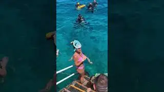 Жаркая зима в Египте. Egypt. Red Sea. Шарм эль Шейх #animation #egypt #red_sea #vacation