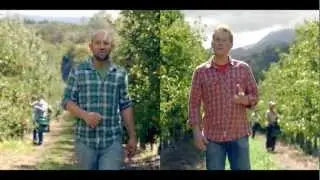 TV Commercial AppelSientje 