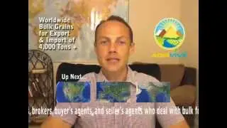 Buy Bulk Wheat, Wheat Export, Purchase Bulk Wheat, Wheat Products International, International