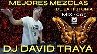 MEJORES MEZCLAS DE LA HISTORIA by DAVID TRAYA &middot; MIX 005 &middot; 100%Vinilo