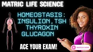 Life Science | Matric Exam Revision | Homeostasis, Feedback Mechanisms (Grade 12 CAPS)
