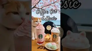 Happy jazz relaxing music & cozy cat having a Starbucks coffee 星巴克咖啡廳輕鬆的音樂 鋼琴 吉他 爵士樂 Morning music