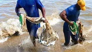Amazing Cast Net Fishing skills Video in asian - Fishing fish catching video 2025 😮