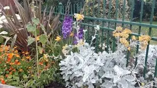 Entrance To Sconce and Devon Park Boundary Newark-on-Trent Lovely Garden 😍 Thanks
