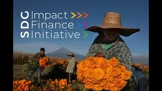 Introducing the SDG Impact Finance Inititative!