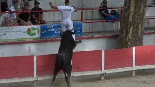 REMOULINS-Course Camarguaise-Avenir-09/07/2023-2e journee Cerise d'or