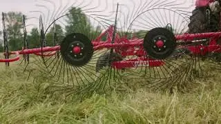 RANGHINATORE AGRIPAN