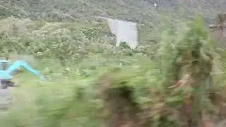 自強215次　車窓