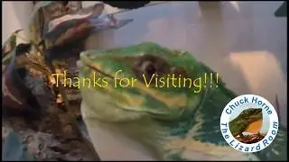 Welcome to Chuck Horne - The Lizard Room!