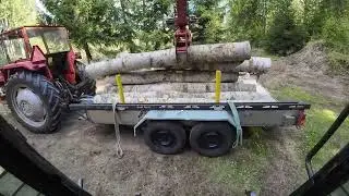 Haetaan traktorilla haapoja polttopuuksi |Massey ferguson 168 multipower|