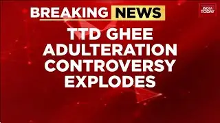 Brekaing: Andhra CM N Chandrababu Naidu Alleges Ghee Adulteration At Tirupati And Srisailam Temples